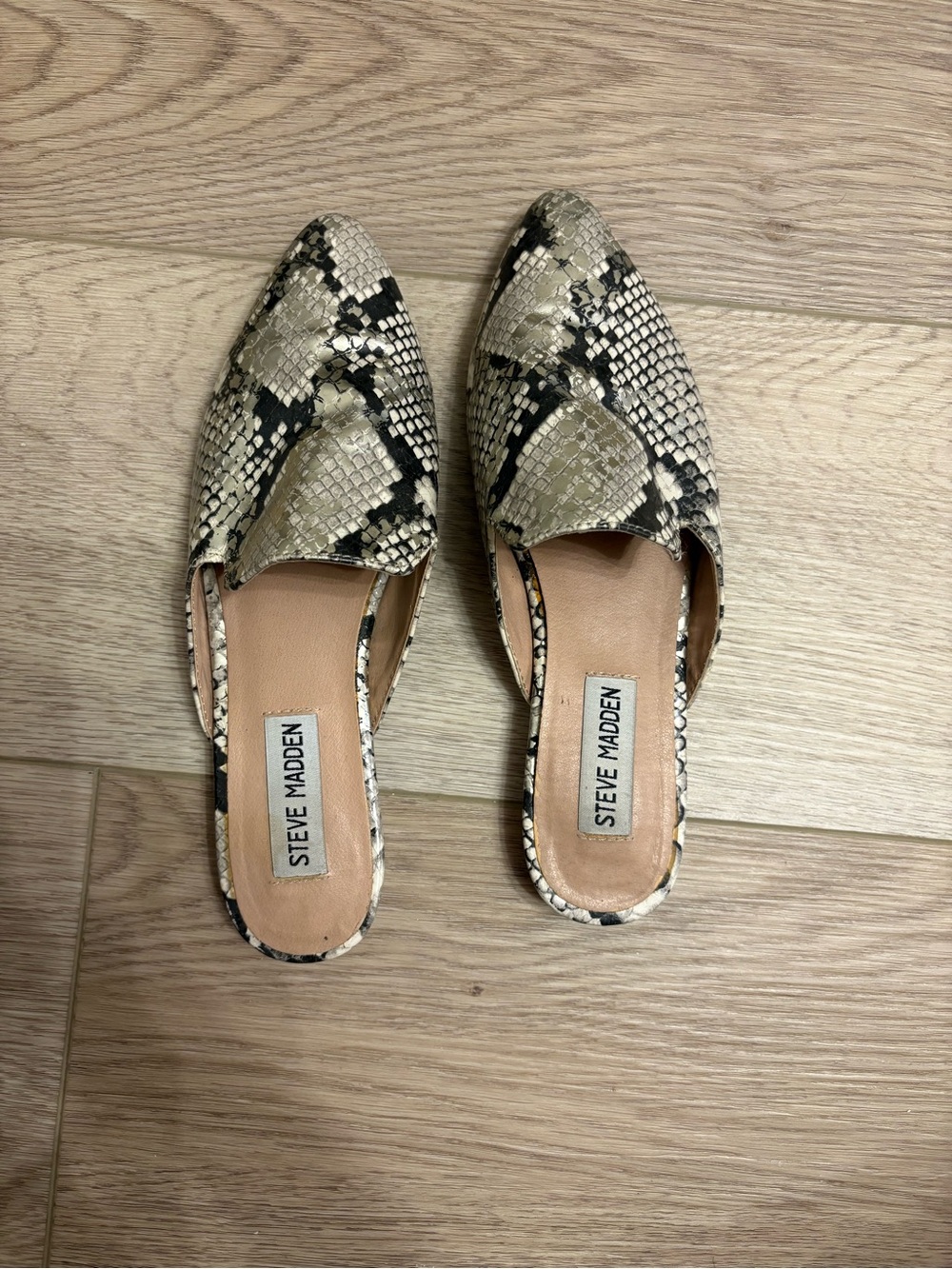 Steve Madden Women's Snake-Print Slip-On Flats pointed toe sz 6